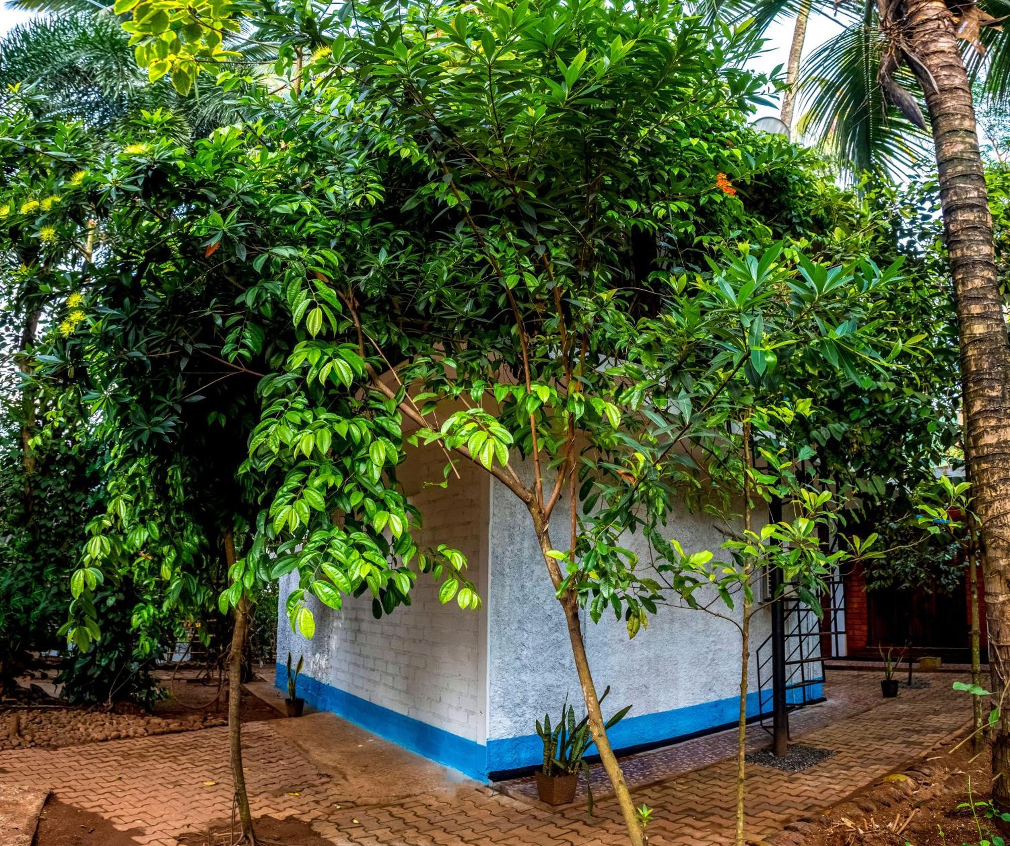 Jays Place Matale Kawudupelella Bagian luar foto